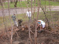 DSCN0412.JPG